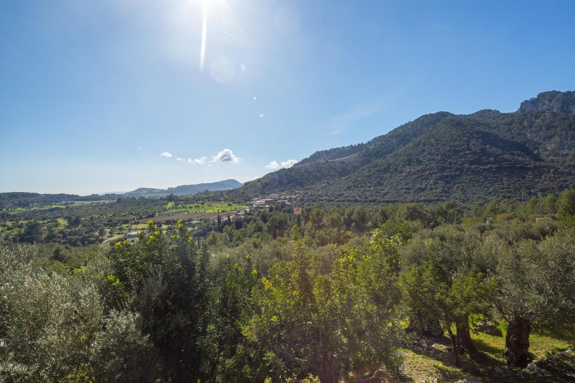 Finca Es Castell 비니보나 외부 사진