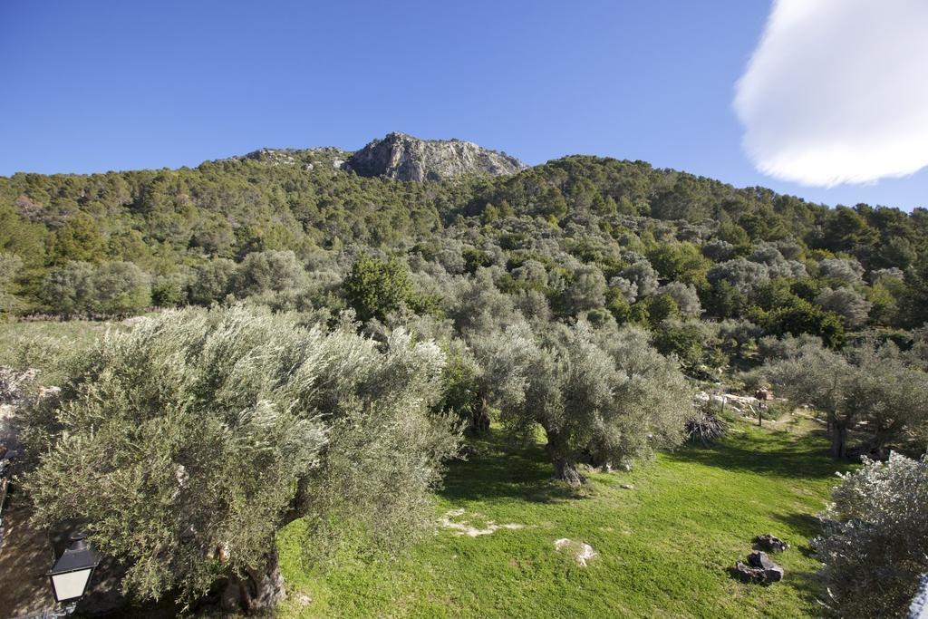 Finca Es Castell 비니보나 외부 사진